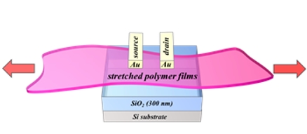 徐立哲、Saburo Kobayashi、Takuya Isono、蔣耘洁、Brian J. Ree、Toshifumi Satoh*、陳文章*：Highly Stretchable Semiconducting Polymers for Field-Effect Transistors through Branched Soft−Hard−Soft Type Triblock Copolymers.　Macromolecules Article ASAP, DOI: 10.1021/acs.macromol.0c00381 (July 2020).