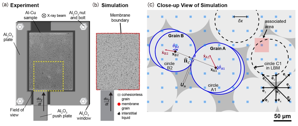 蘇德徵*、Catherine O'Sullivan、Hideyuki Yasuda、Christopher M. Gourlay：Rheological transitions in semi-solid alloys: In-situ imaging and LBM-DEM simulations, Acta Materialia, Vol. 191, pp. 24-42 (June 2020).